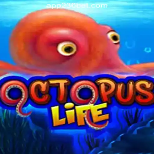 Dive Into the World of OctopusLife: An Immersive Experience